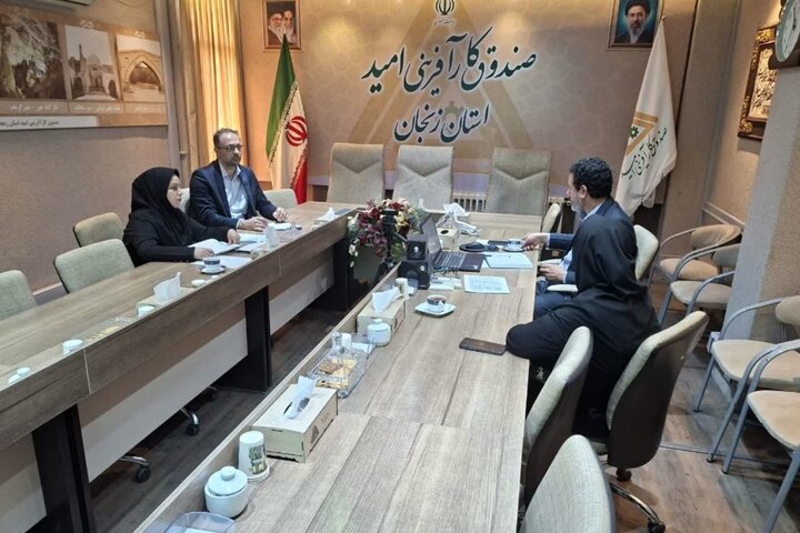 غربالگری تخصصی طرح‌های اشتغال‌زایی در استان زنجان؛ بررسی ۲۵۰ درخواست جوانان برای تخصیص بهینه منابع مالی