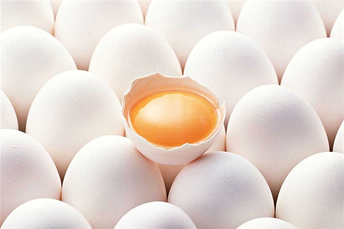 مصرف روزانه یک تخم مرغ از بروز سکته پیشگیری می کند