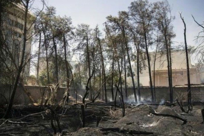 میراث شیراز این‌بار با آتش‌سوزی‌ها گُر می‌گیرد!