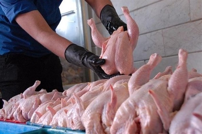 یوسف خانی: قیمت مرغ تا 2 روز دیگر ارزان می شود/عدم مدیریت بازار مرغ را پرنوسان کرد