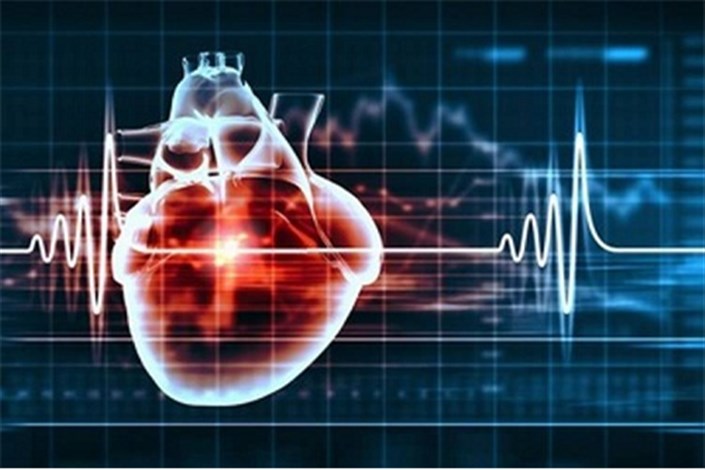 موفقیت محققان ایرانی در ساخت پچ‌های قلبی برای ترمیم عضله قلب مبتلایان سکته