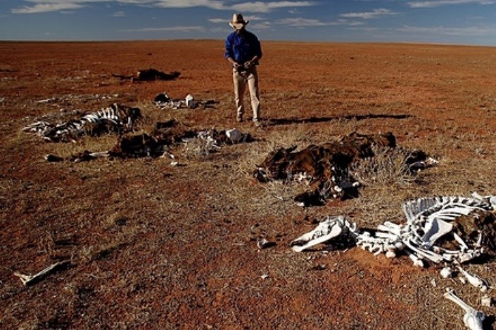پدیده ال نینو، استرالیا را در معرض خشکسالی قرار می دهد