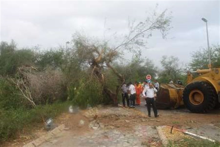 رئیس ستاد بحران کیش :توفان خسارت جانی به همراه نداشت