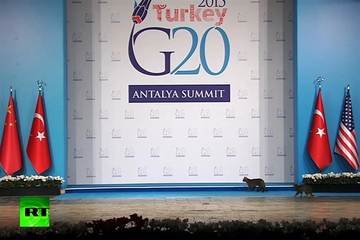 ویدیو / اتفاق با نمک حین پخش زنده کنفرانس بین المللی در ترکیه 