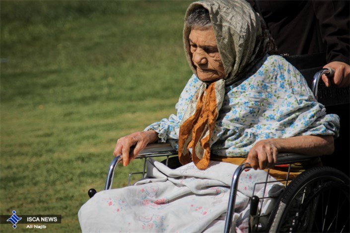 8درصد ایرانی ها سالمندند/رشد سالمندی وضعیت اجتماعی و اقتصادی را بغرنج می کند