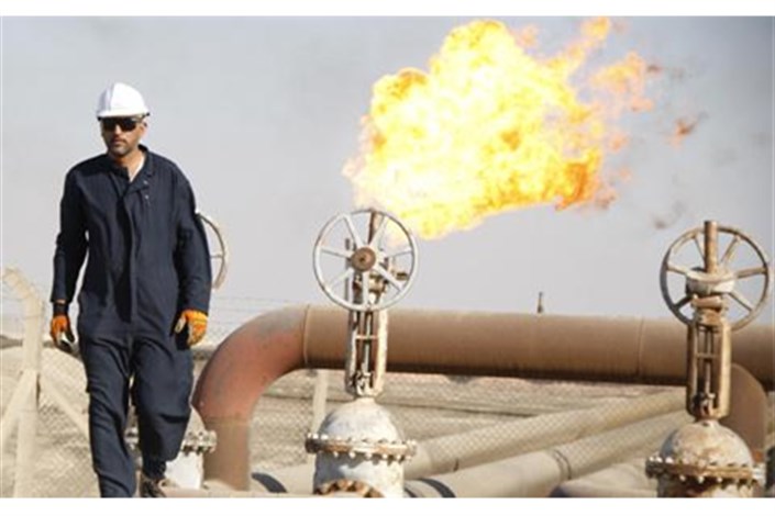  معاون وزیر نفت:  گاز تنها یکی از محورهای تعامل در اجلاس جی یی سی اف است