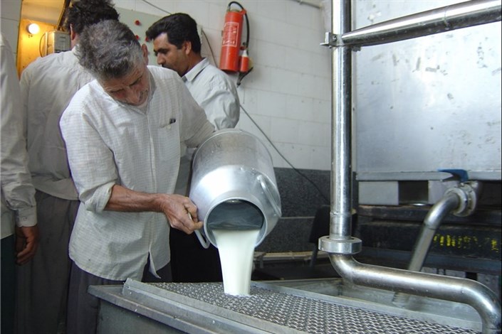 معاون امور دام : افزایش 100 تومانی قیمت خرید شیر از فردا 