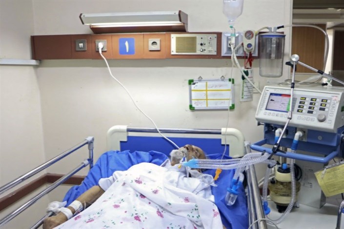 ابتلا به آنفلوآنزا ۳۲ نفر را در ساوه و زرندیه در بیمارستان بستری کرد