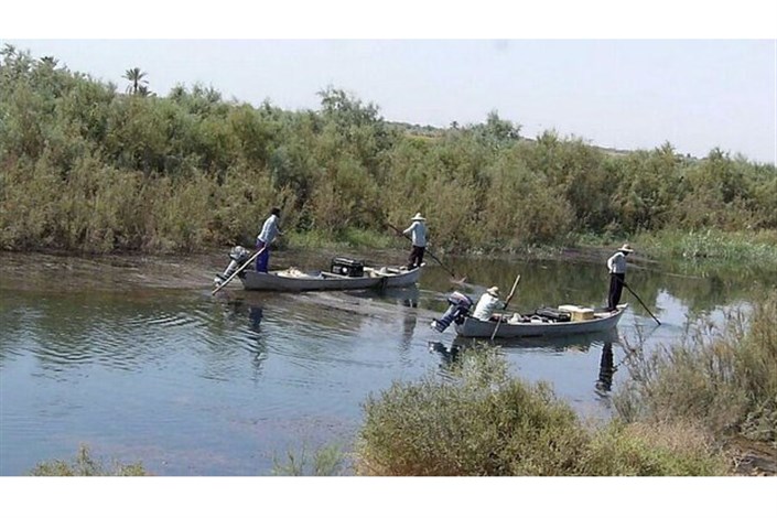 دستگیری 4 صیاد غیرمجاز ماهی کفال در تالاب میانکاله