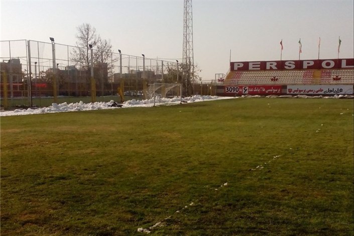 زمین تمرین پرسپولیسی ها زیر کشت!