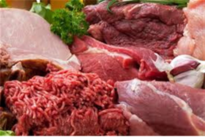 صادرات دام ممنوع شد/ گوشت در ایام عید گران نمی شود