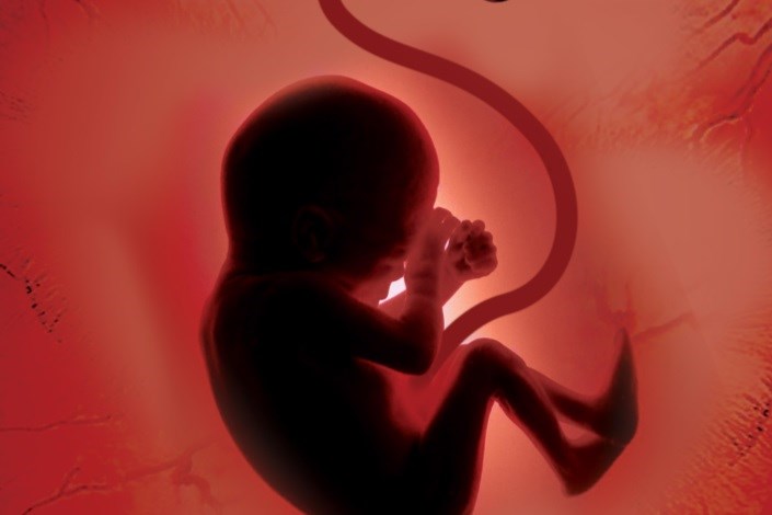حسین مروتی: ۲۲۰ هزار سقط جنین درکشور/ آمار سقط ۱۵ برابر کشته های تصادف درسال