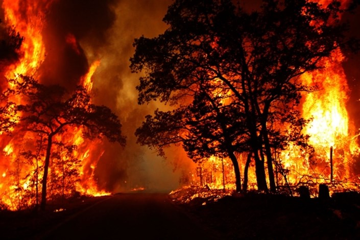  800 هکتار از مزارع کوهدشت در آتش سوخت