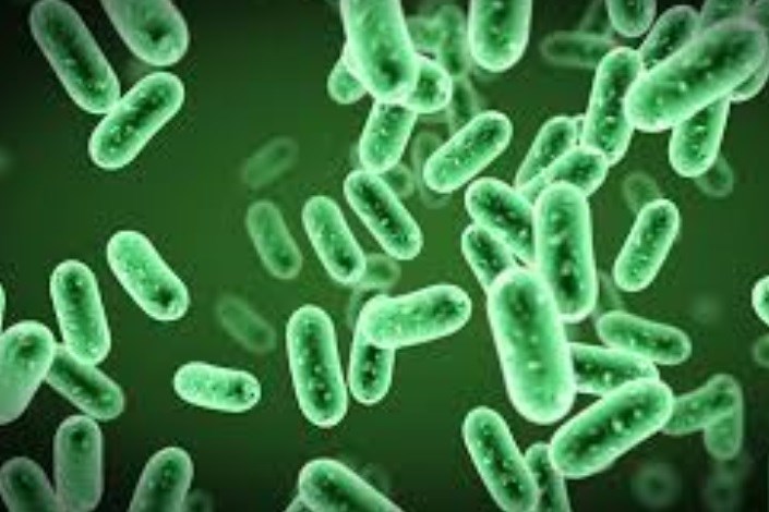 کابوس جهان تبدیل به واقعیت شد;کشف نخستین باکتری مقاوم در برابر همه آنتی‌بیوتیک‌های دنیا