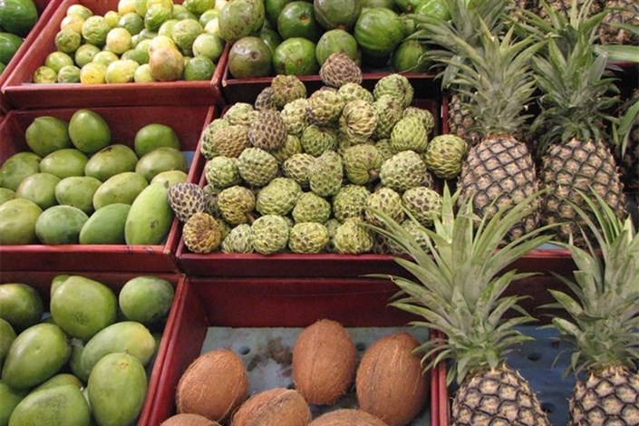 نابودسازی میوه های قاچاق ، روز چهارشنبه در حضور رسانه ها 