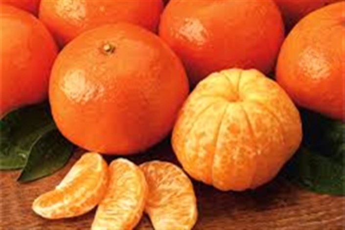 نارنگی رکورددار قیمت میوه ها در بازار