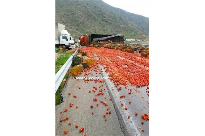  کامیون واژگون شد ،گوجه ها  وسط جاده  رب  شدند + عکس