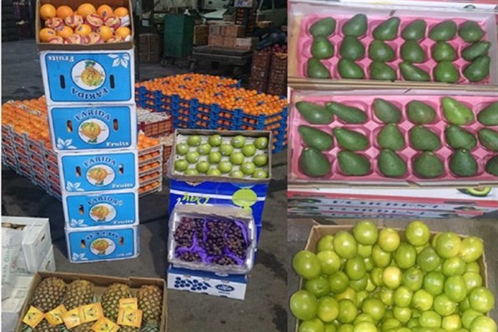 بازگشت مجدد میوه‌ های قاچاق به مغازه‌ها/ انگور شیلی ۴۵ هزار تومان