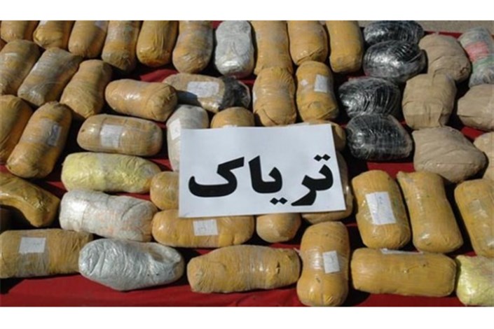 انهدام باند توزیع مواد افیونی و کشف 339 کیلو تریاک در شرق استان تهران