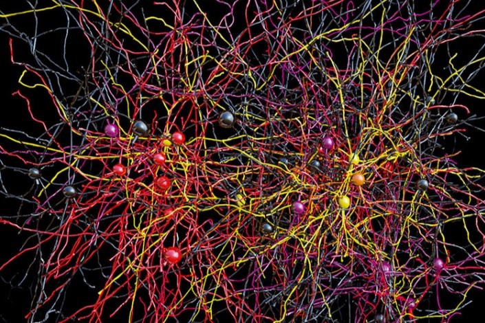 بزرگ‌ترین نقشه‌ اتصالات عصبی مغز ساخته شد