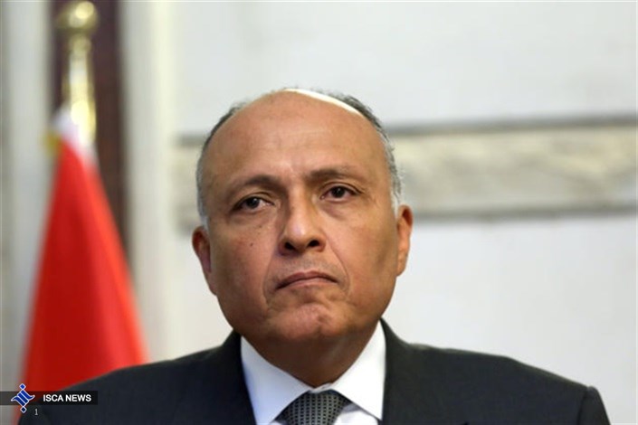 وزیر خارجه مصر: تلاش برای حل بحران سوریه ادامه دارد