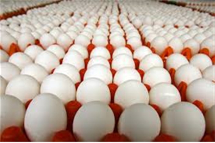 دومین دوره مسابقات چالش جاذبه، نجات تخم مرغ در واحد بجنورد برگزار شد