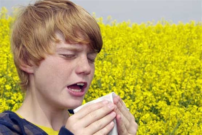 آلرژی فصلی را با آنتی‌هیستامین های  طبیعی  درمان کنید