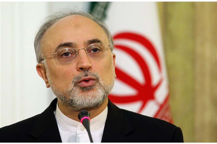 صالحی: کنفرانس سالانه عمومی آژانس برای ایران اهمیت ویژه ای دارد