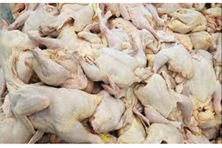 ظرفیت تولید گوشت مرغ از 2 میلیون تن گذشت