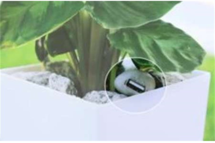 شارژ تلفن همراه با گیاهان