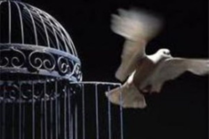 آزادی ۱۱۰ هزار زندانی ارمغان ستاد دیه به خانواده محکومان غیرعمد