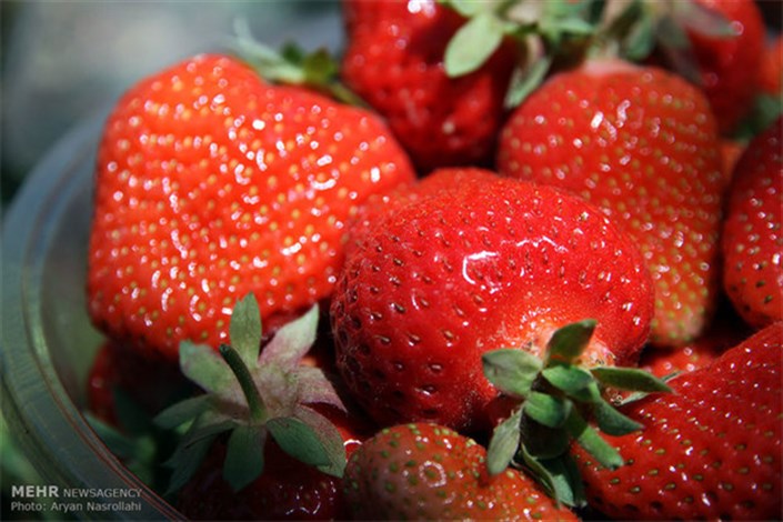 میوه های مناسب برای بیماران مبتلا به دیابت کدامند؟