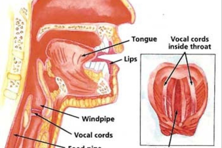 تشخیص بیماری از روی صدا