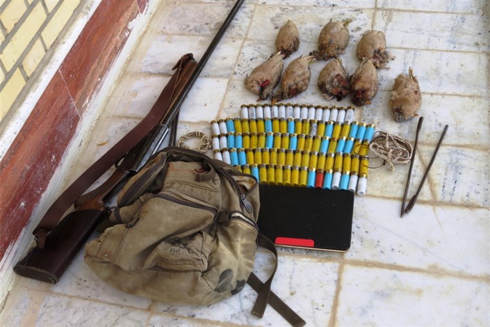  10 متخلف شکار و صید در دشتستان دستگیر  شدند