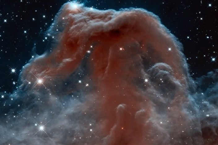عکس روز ناسا/ سحابی سر اسب با تلسکوپ هابل شکار شد