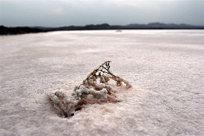 دریاچه نمک قم قابلیت احیا دارد/وسعت دریاچه نمک در گذشته دو برابر زمان کنونی بوده است