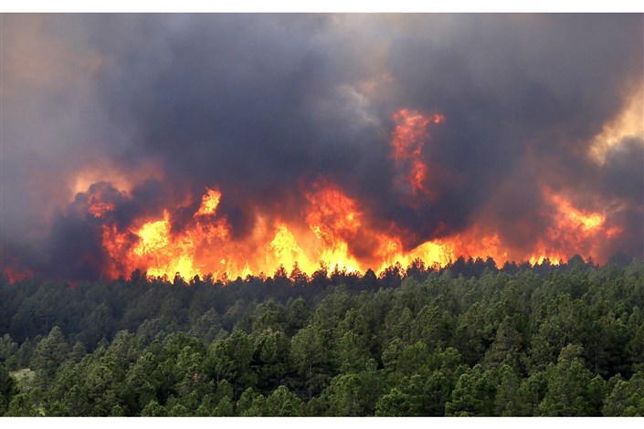 آتش سوزی در جنگل ها و مراتع پلدختر لرستان