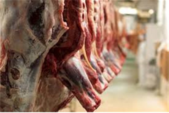 درخواست عجیب کمیسیونر اتحادیه اروپا از وزیر کشاورزی/صادرات گوشت گاو بدون محدودیت سنی!