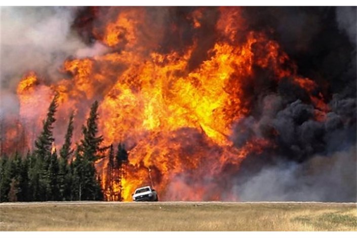 تغییرات آب و هوایی موجب تشدید آتش سوزی ها در جهان