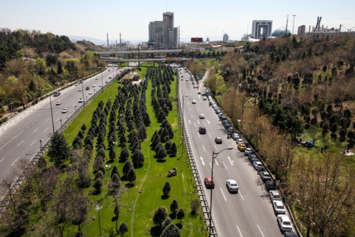 رشد خزنده گونه‌های مهاجم گیاهی در تهران/اطراف شهر محل مناسبی برای رشد گیاهان مهاجم  است