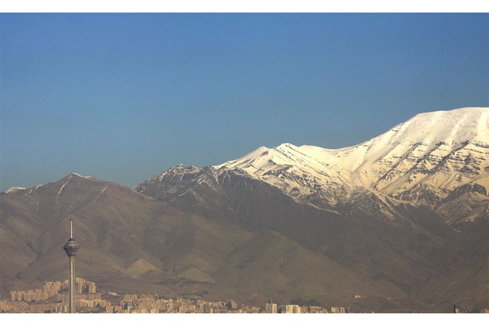 تصویربرداری از دو خرس قهوه ای در ارتفاعات شمال تهران