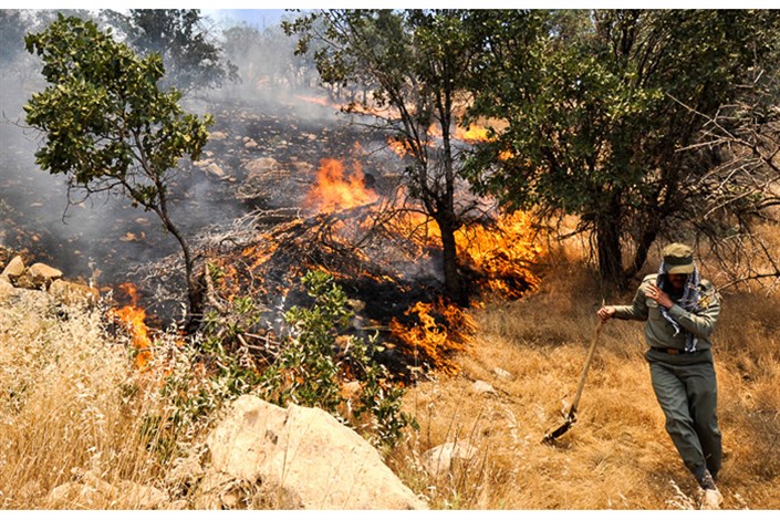آتش ِ بی‌امکاناتی در شمالِ جنوب/جنگل‌های بلوط کهگیلویه‌و‌بویراحمد چندین روز است در آتش می‌سوزد