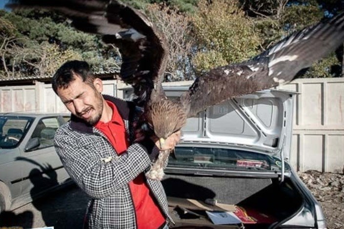 فروشنده پرندگان وحشی در پیاده‌راه‌های تهران بازداشت شد