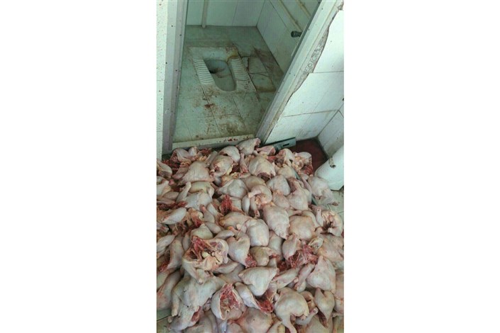  شستشوی مرغ در سرویس بهداشتی تایید شد/ متخلفان دستگیر شدند/عکس 