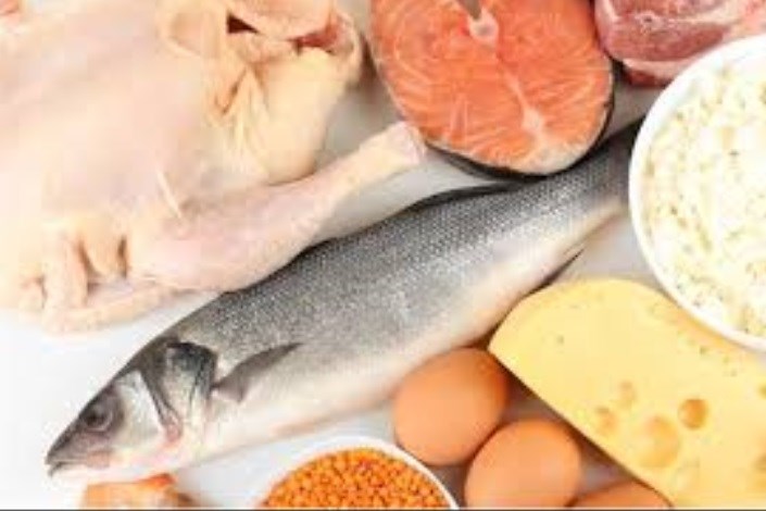 تحولات بازار مرغ و تخم مرغ/قیمت ماهی ثابت است