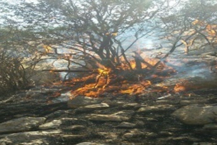 مهار آتش در جنگل های بخش الوار اندیمشک 