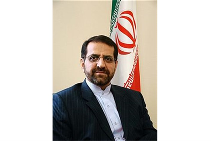 نجفی: آمریکای لاتین جایگاه خاصی در سیاست خارجی ایران دارد