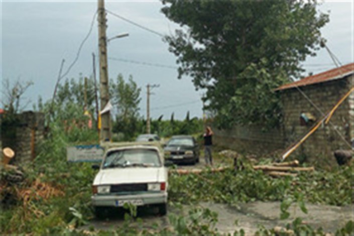 طوفان تقریبا تمامی شهرهای مازندران را محاصره کرد/خسارت های طوفان در شهرستان های مازندران 