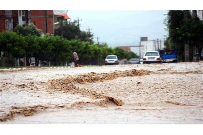 بارش شدید باران راه ارتباطی 12 روستا و برق 2 روستا را قطع کرد