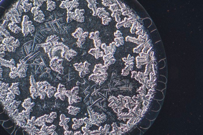 تصاویر میکروسکوپی قطره‌های زیبای اشک